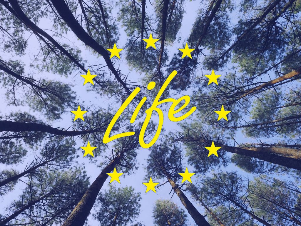 What Is The Daily Rule Of Life 1024x768