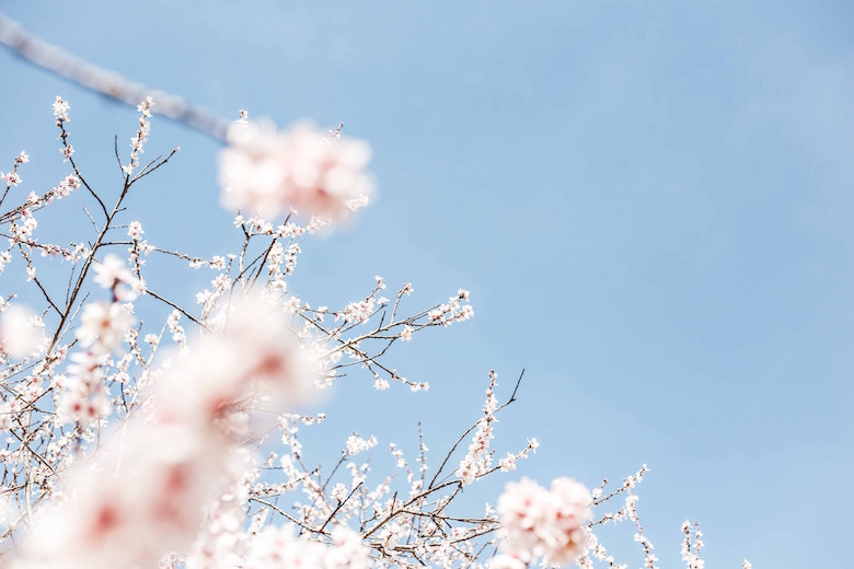 How Do You Embrace A Slow Paced Life
