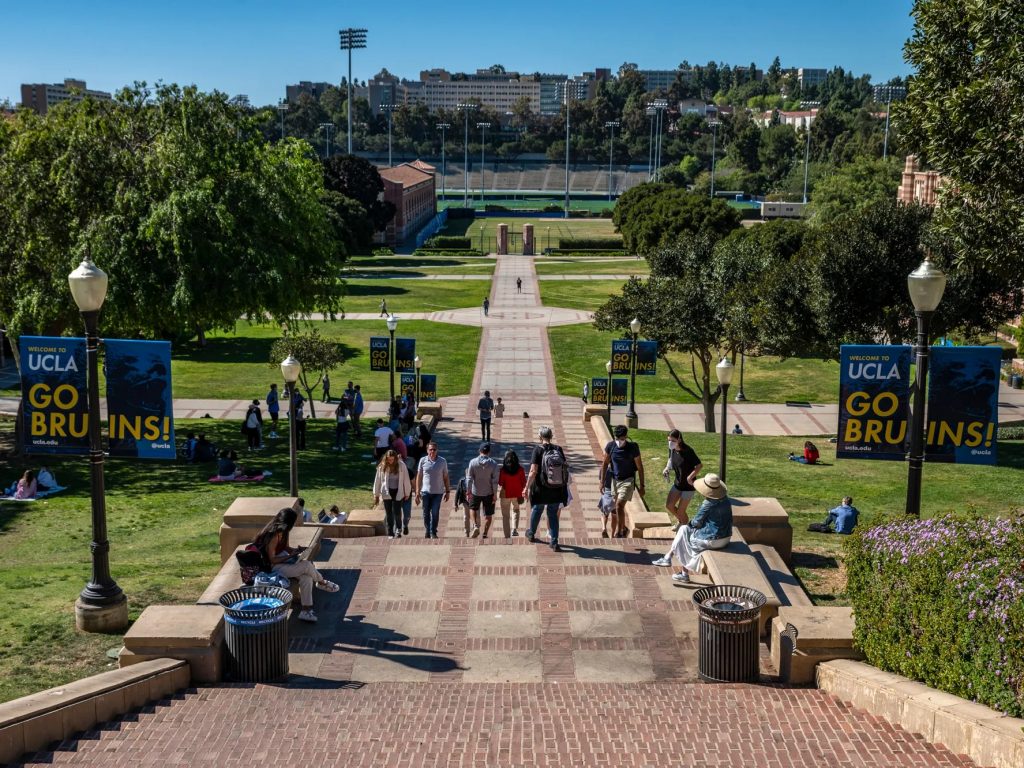 Is Stanford An Ivy 1024x768