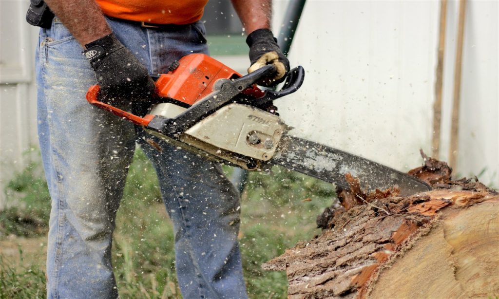 How Chain Saw Works